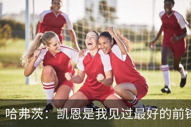 哈弗茨：凯恩是我见过最好的前锋之一；谁进球并不重要